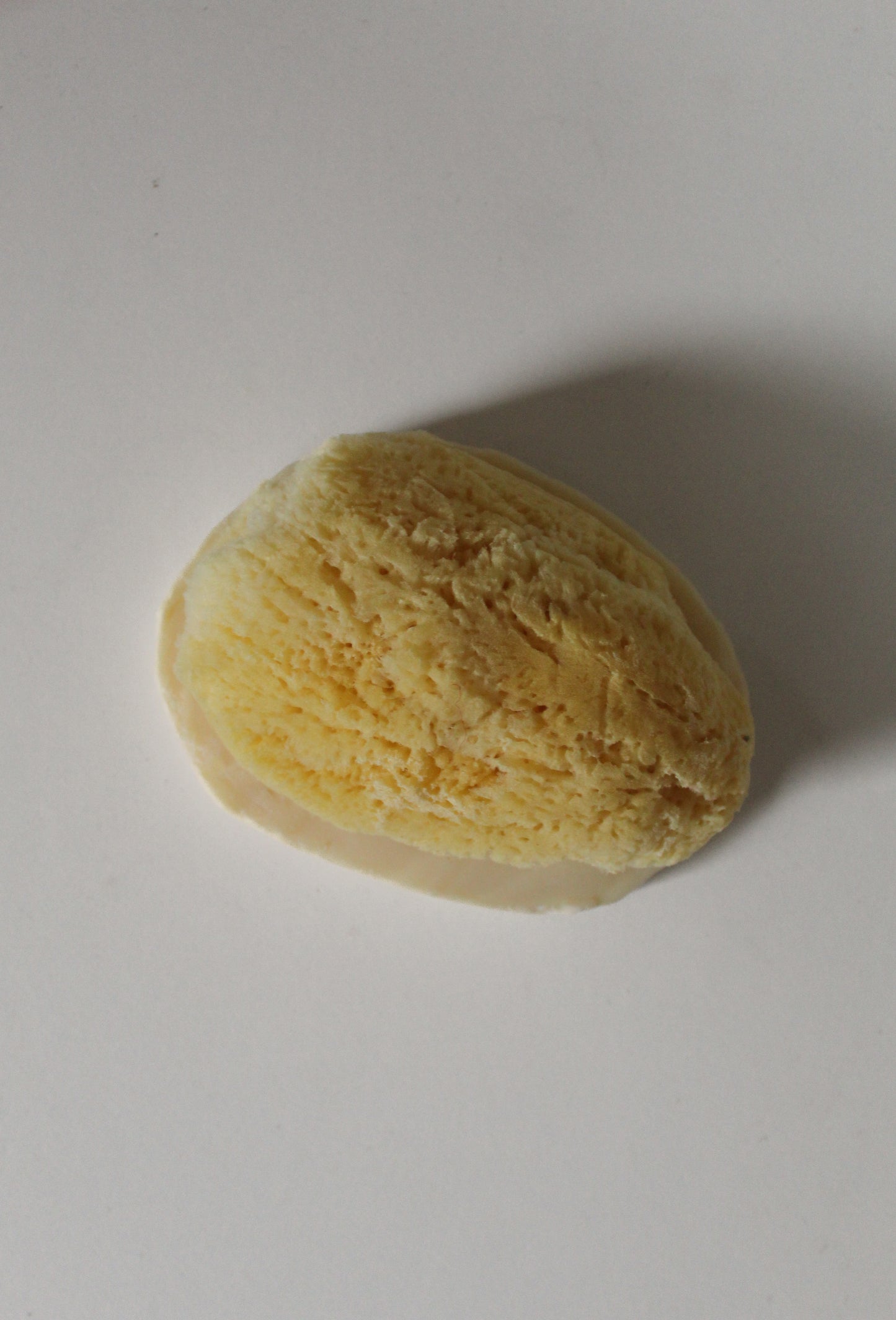Sea Sponge Soap