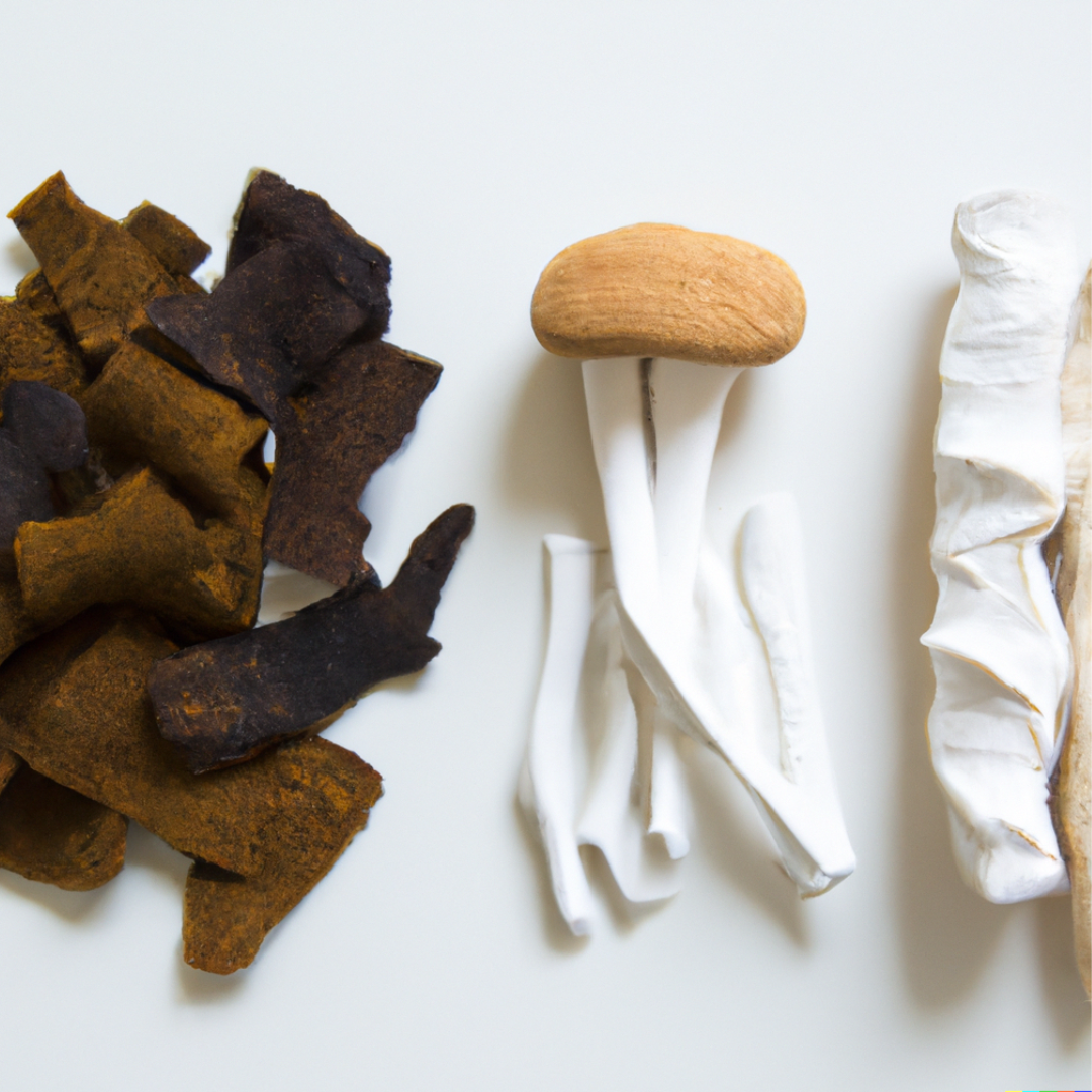 Chaga Facial Cleansing Bar