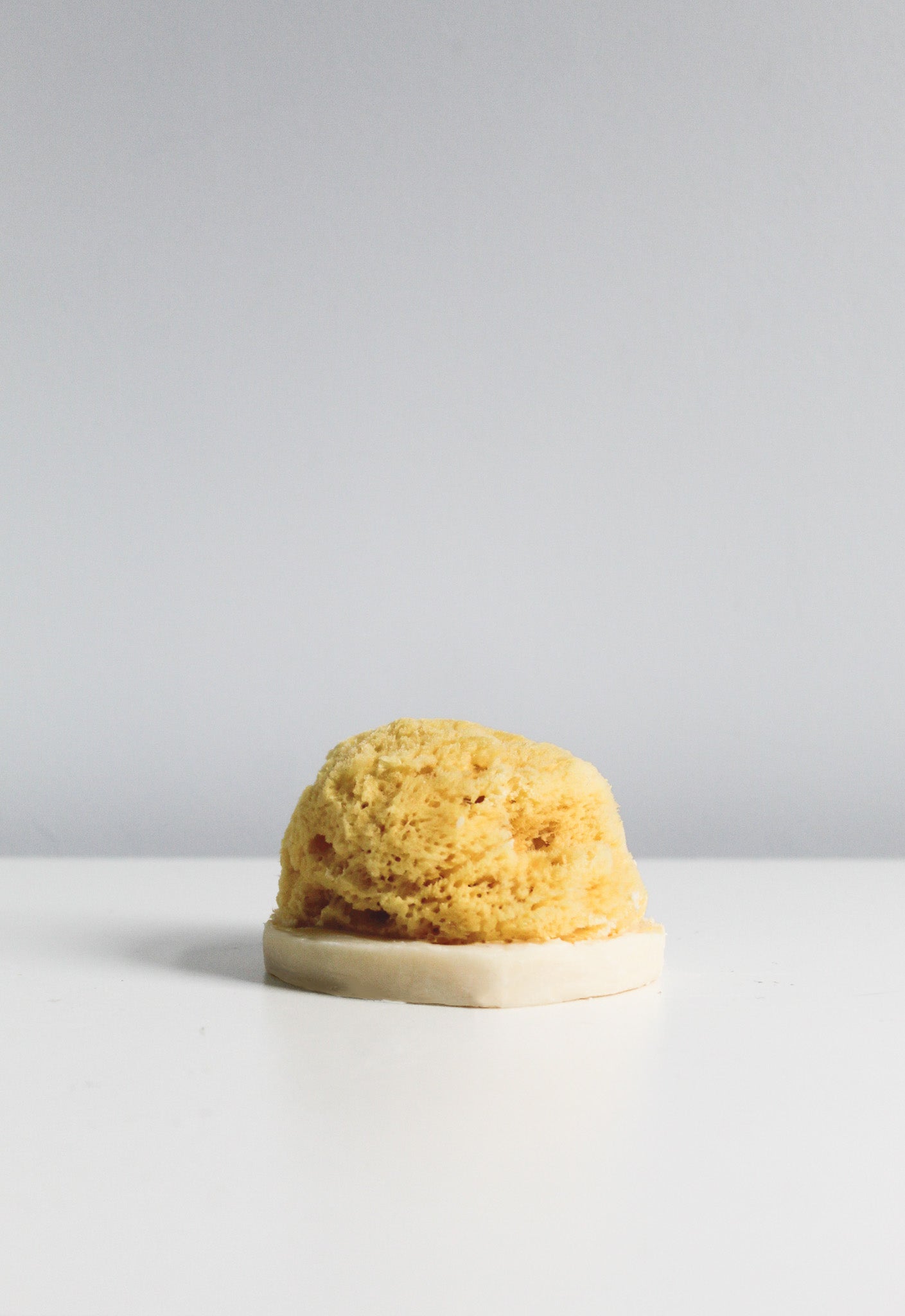 Sea Sponge Soap