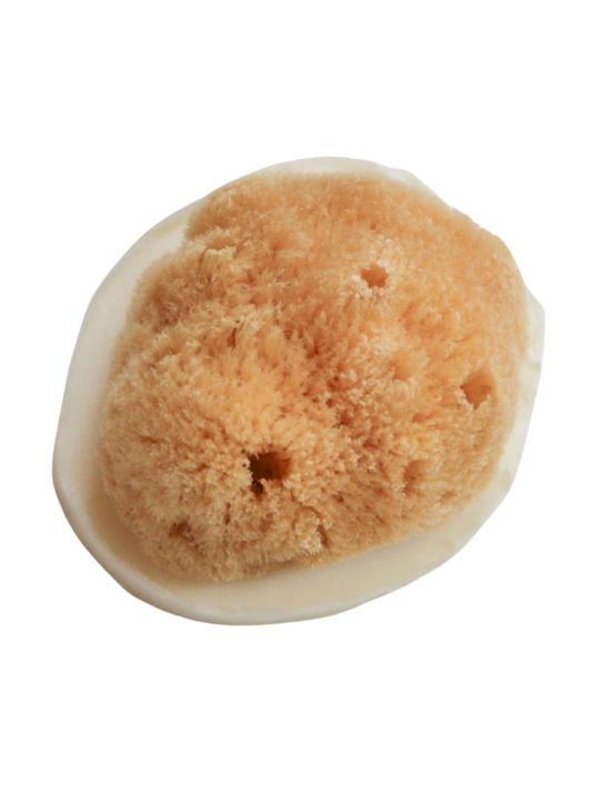 SEA SPONGE SOAP